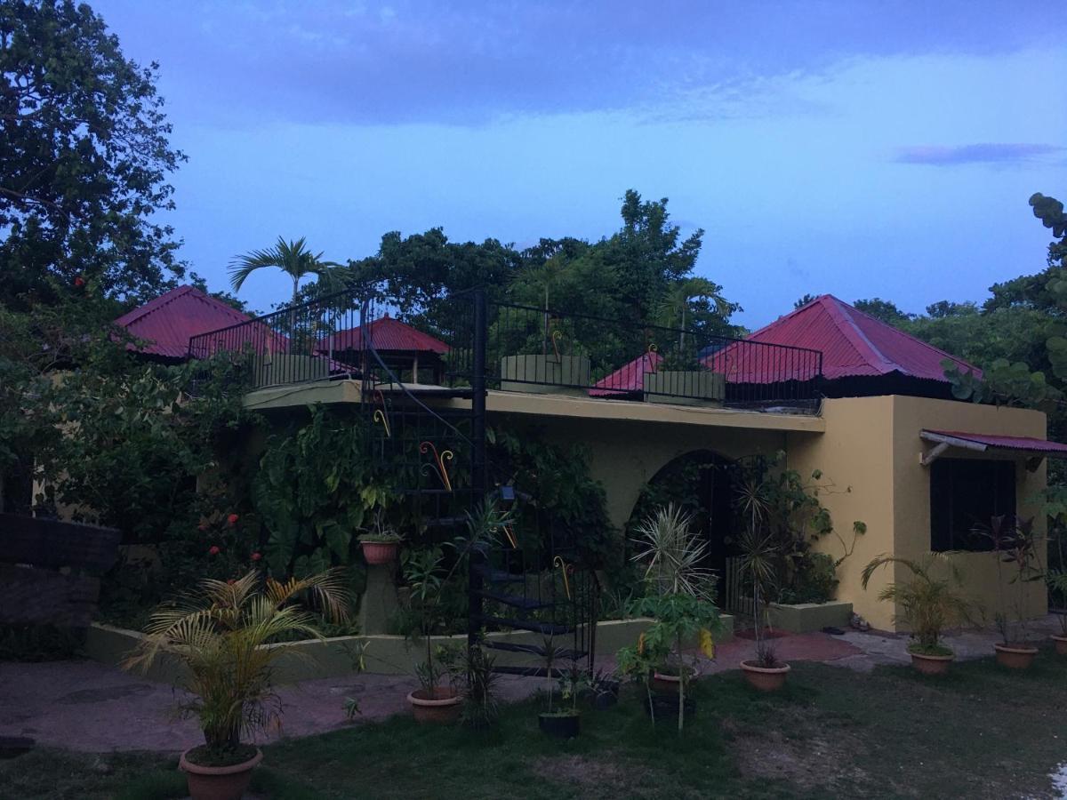 Can Jam Retreat Negril Luaran gambar