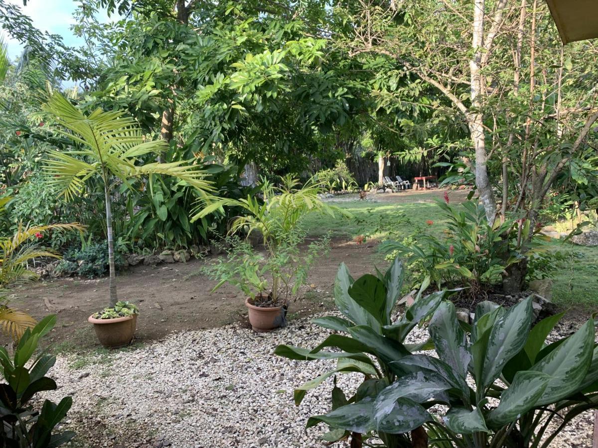 Can Jam Retreat Negril Luaran gambar