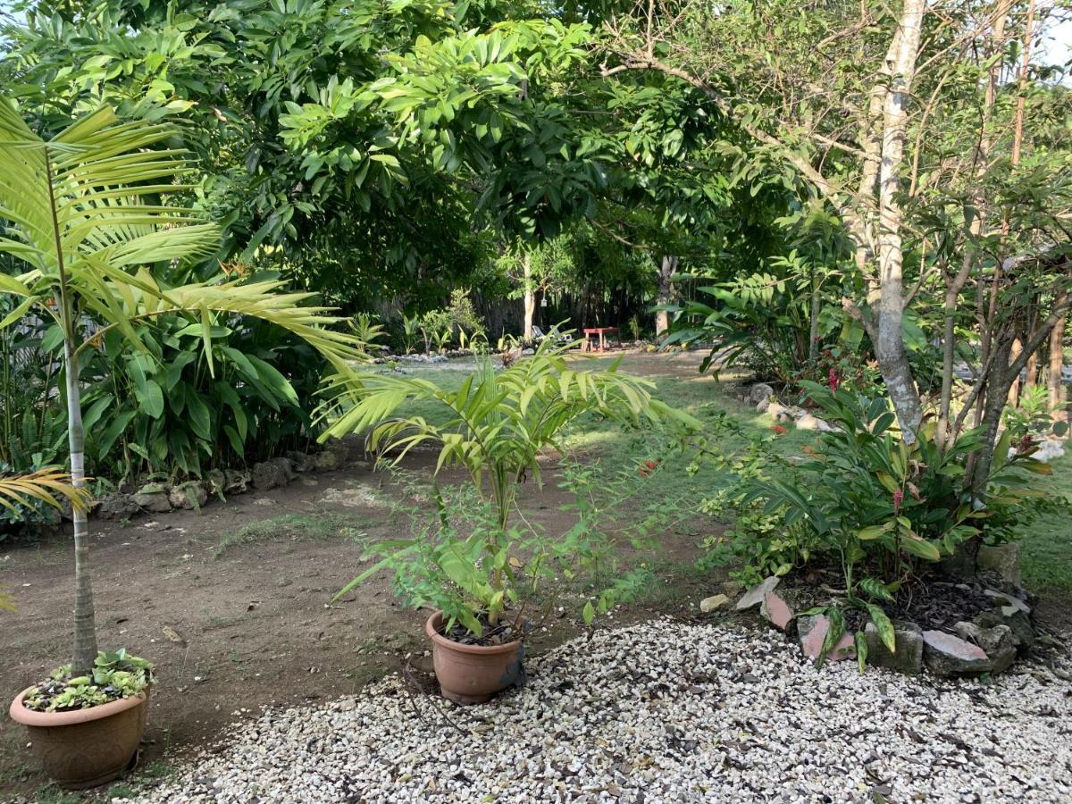 Can Jam Retreat Negril Luaran gambar