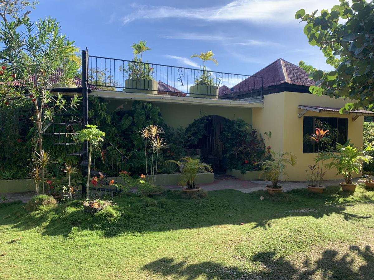 Can Jam Retreat Negril Luaran gambar