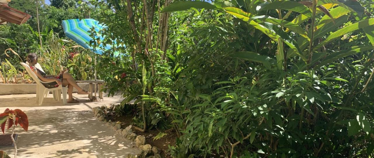 Can Jam Retreat Negril Luaran gambar