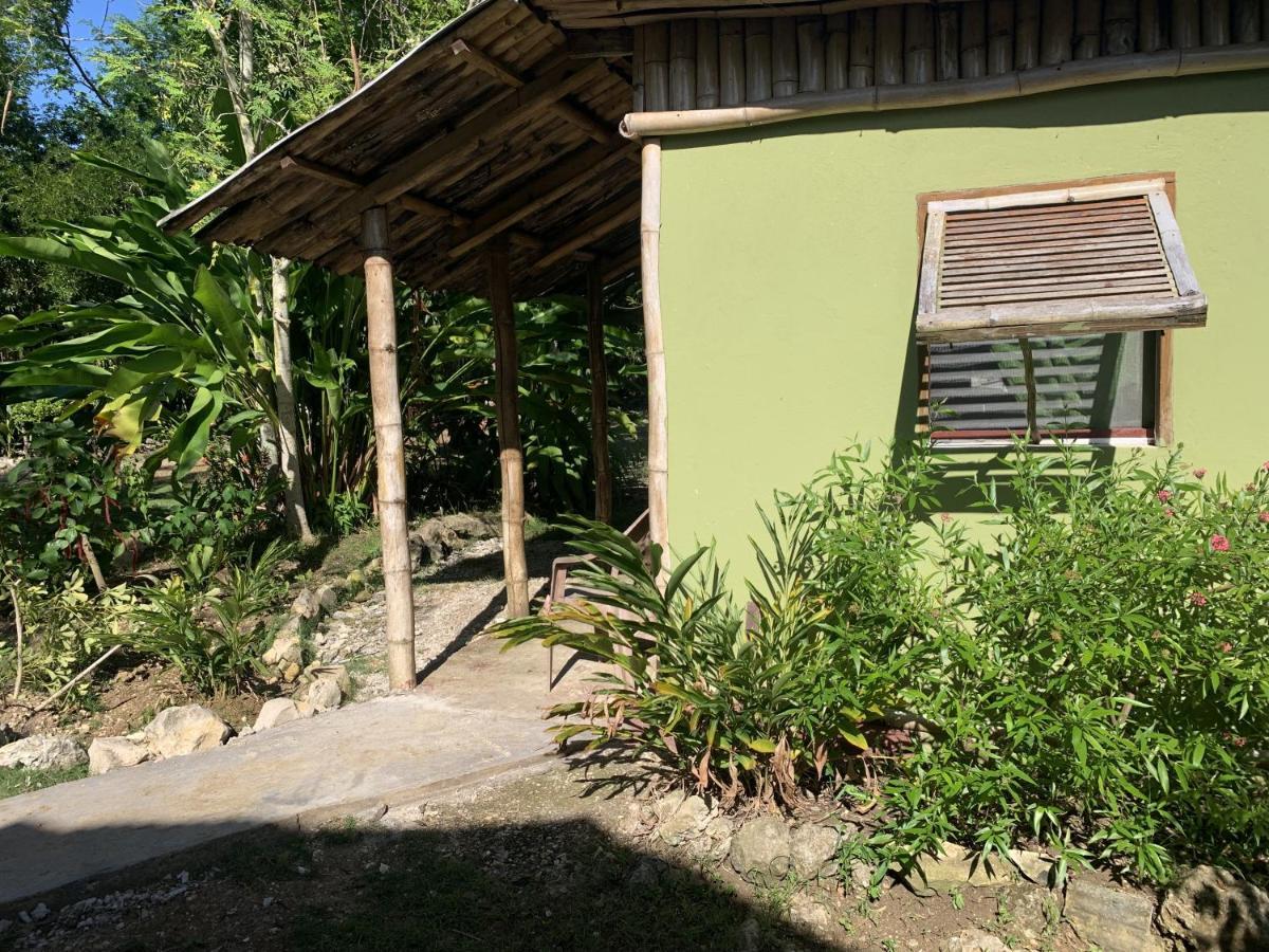 Can Jam Retreat Negril Luaran gambar