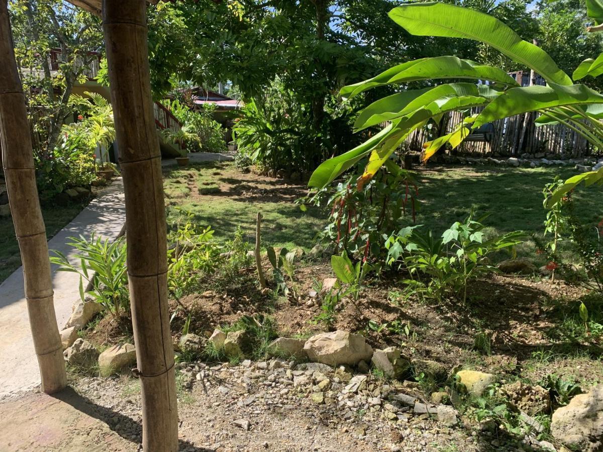 Can Jam Retreat Negril Luaran gambar