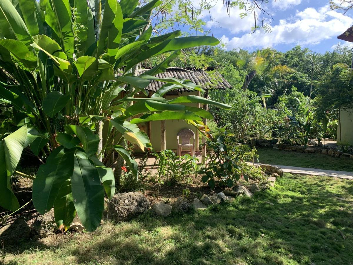Can Jam Retreat Negril Luaran gambar