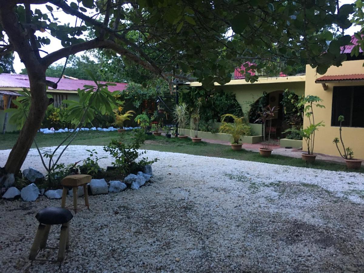 Can Jam Retreat Negril Luaran gambar