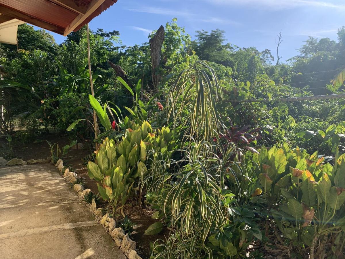 Can Jam Retreat Negril Luaran gambar