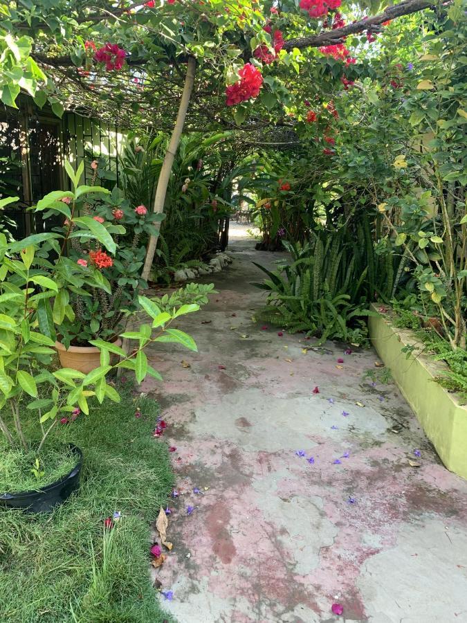 Can Jam Retreat Negril Luaran gambar