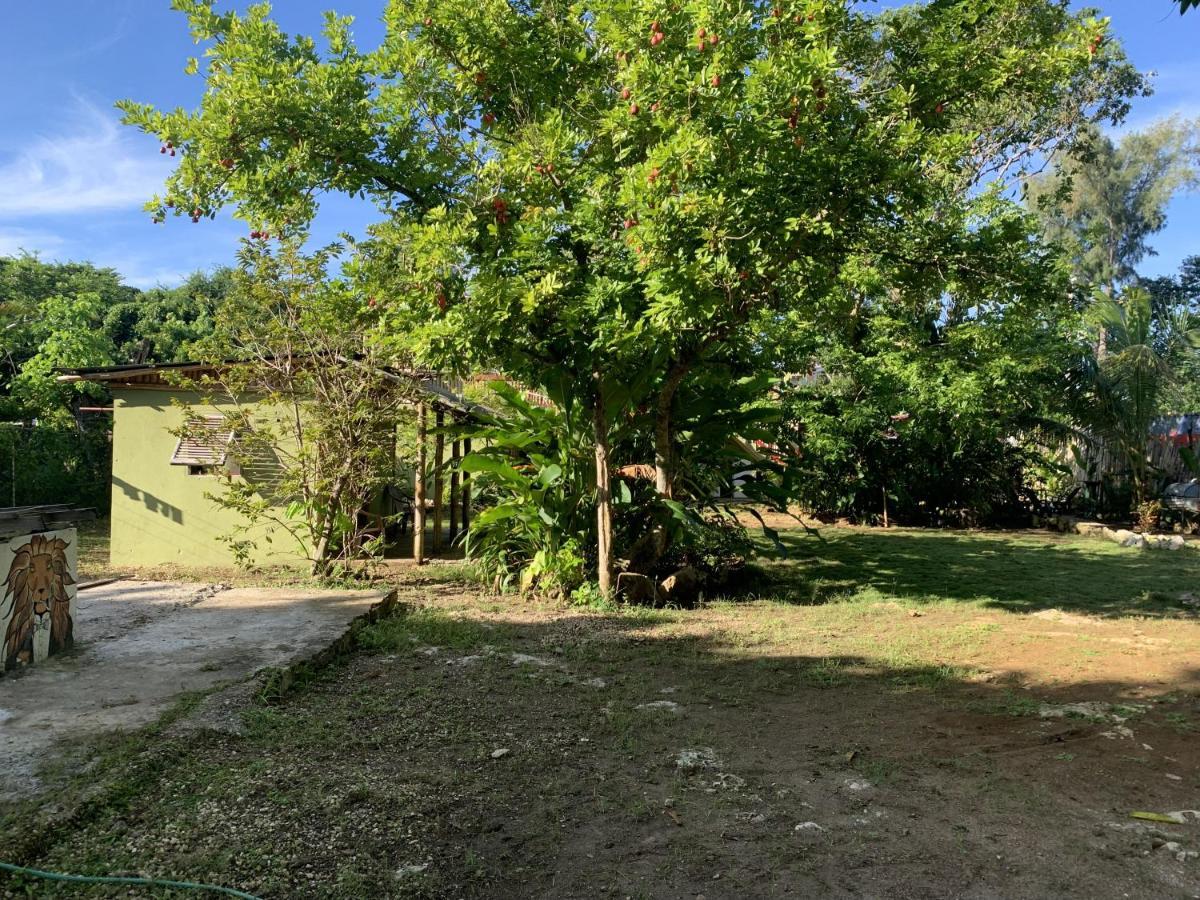 Can Jam Retreat Negril Luaran gambar