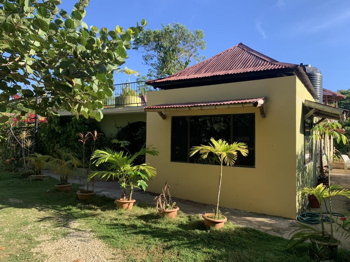 Can Jam Retreat Negril Luaran gambar
