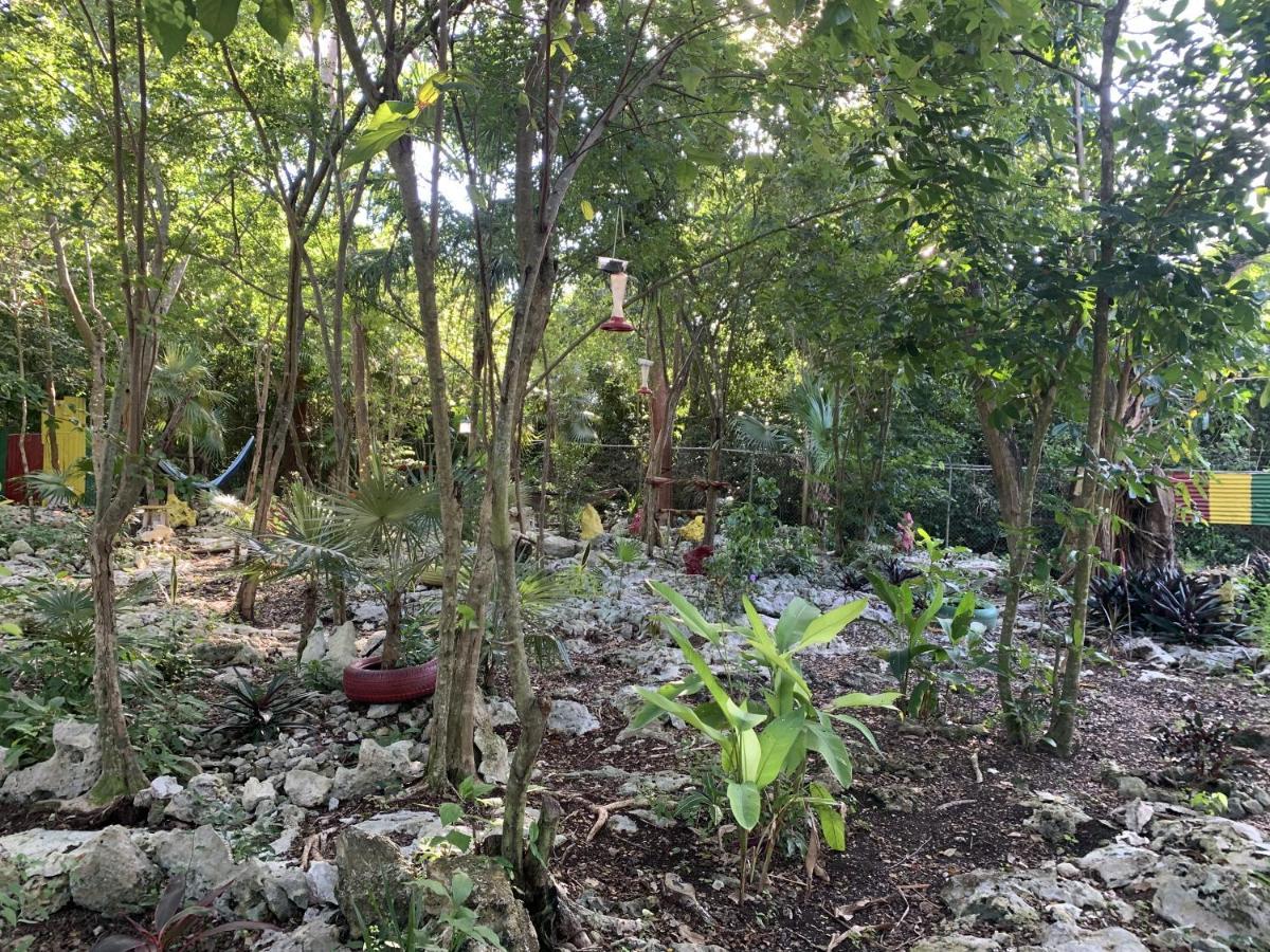 Can Jam Retreat Negril Luaran gambar