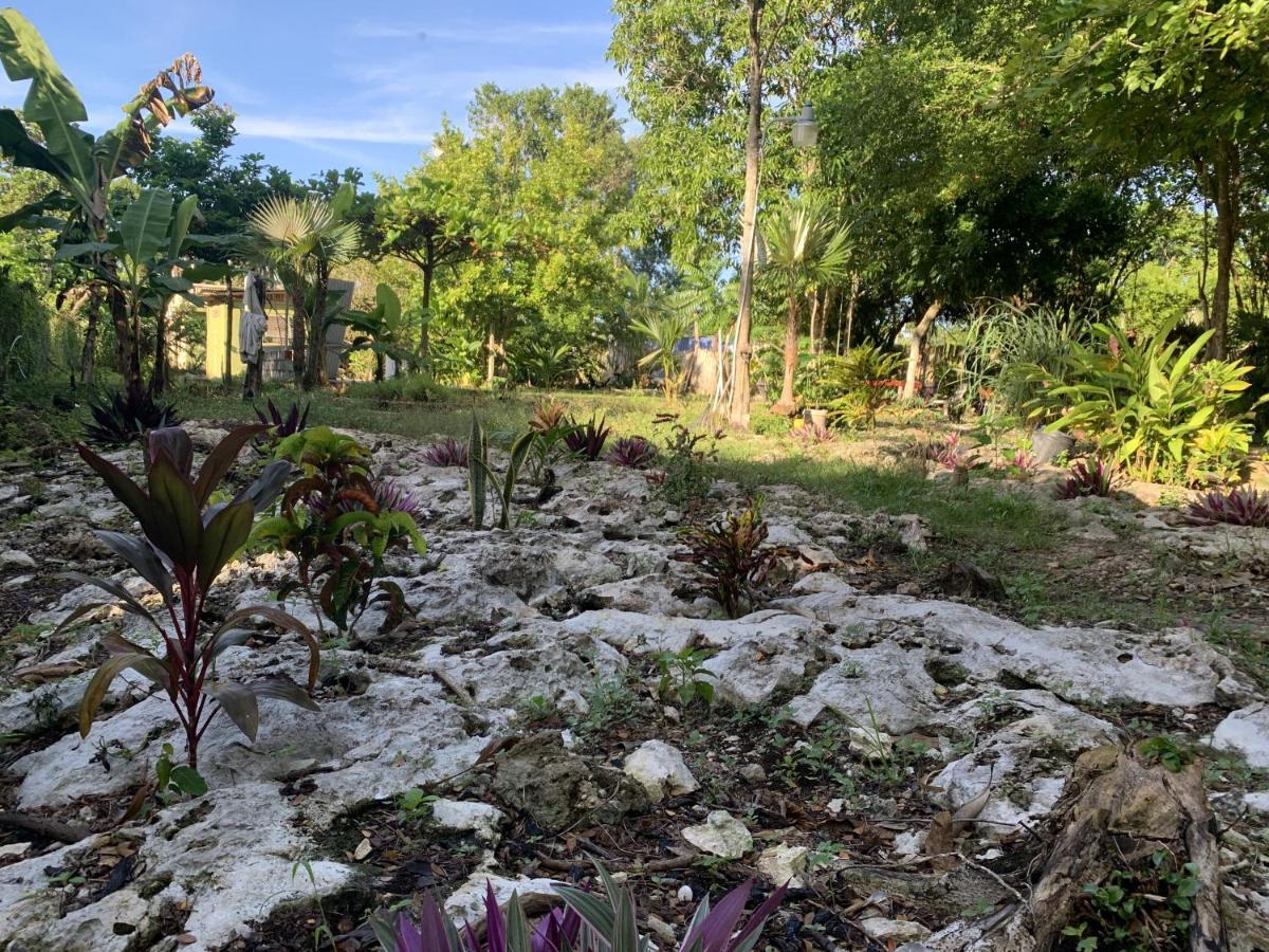 Can Jam Retreat Negril Luaran gambar