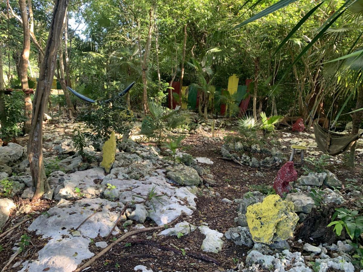 Can Jam Retreat Negril Luaran gambar