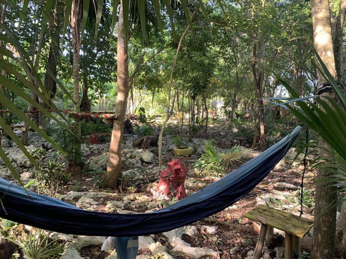 Can Jam Retreat Negril Luaran gambar