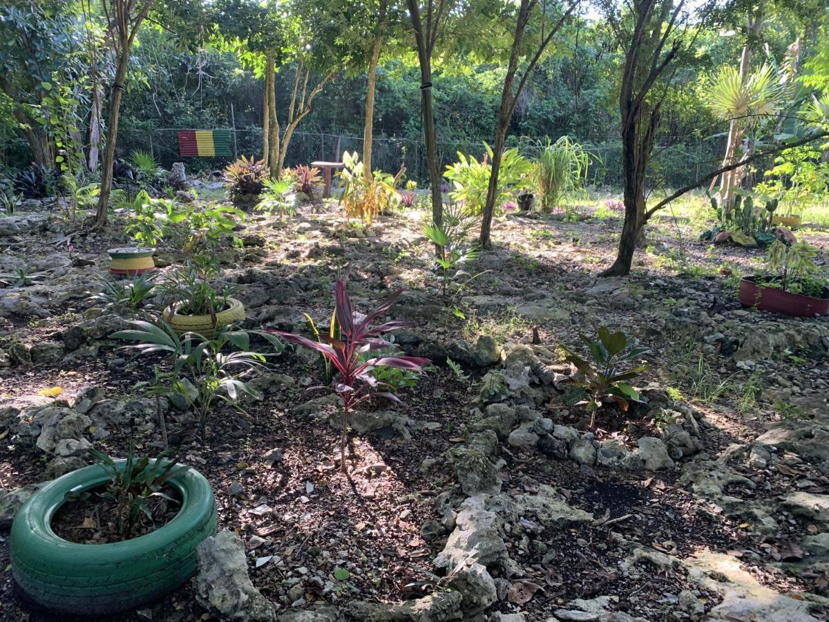 Can Jam Retreat Negril Luaran gambar
