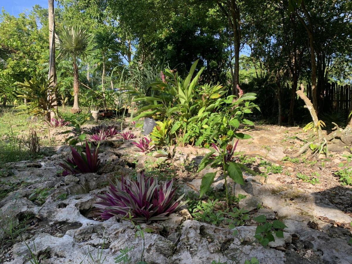 Can Jam Retreat Negril Luaran gambar