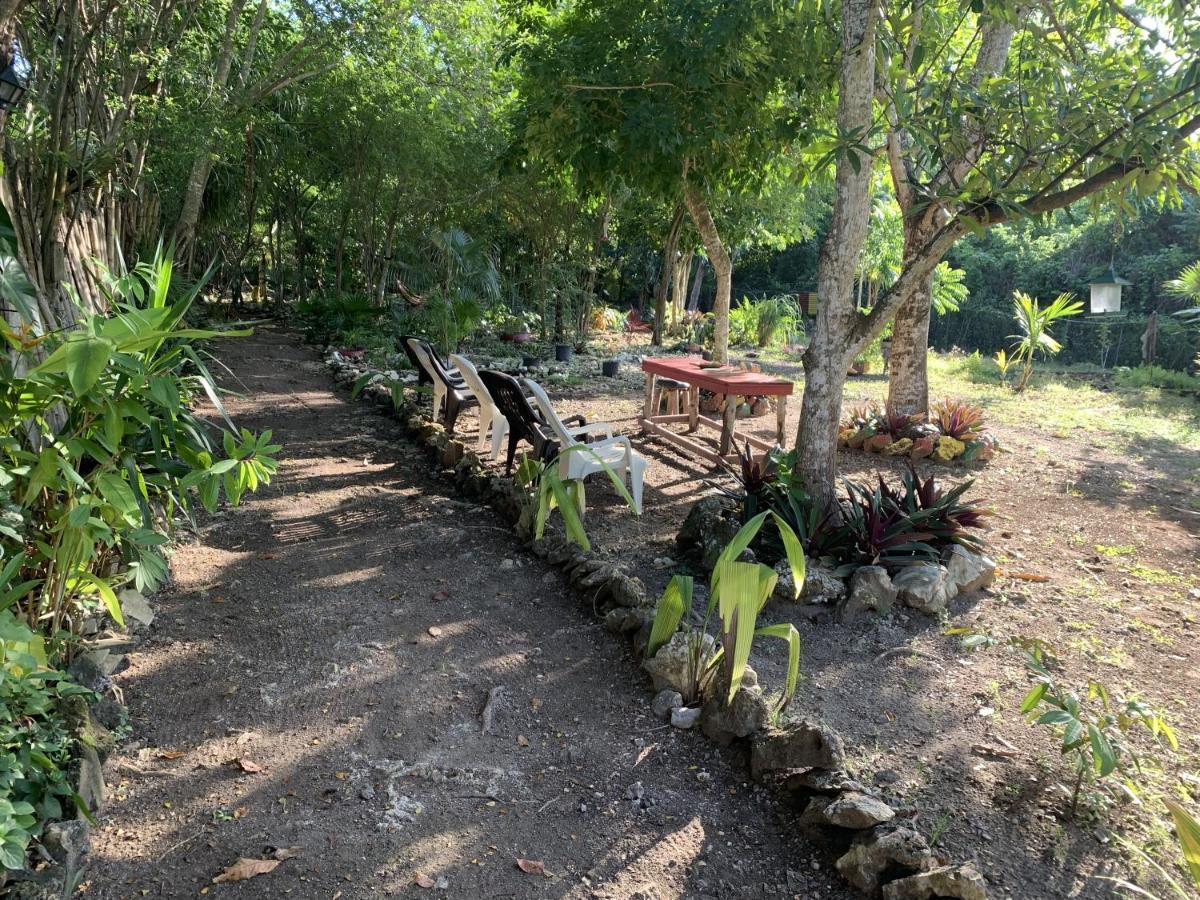 Can Jam Retreat Negril Luaran gambar