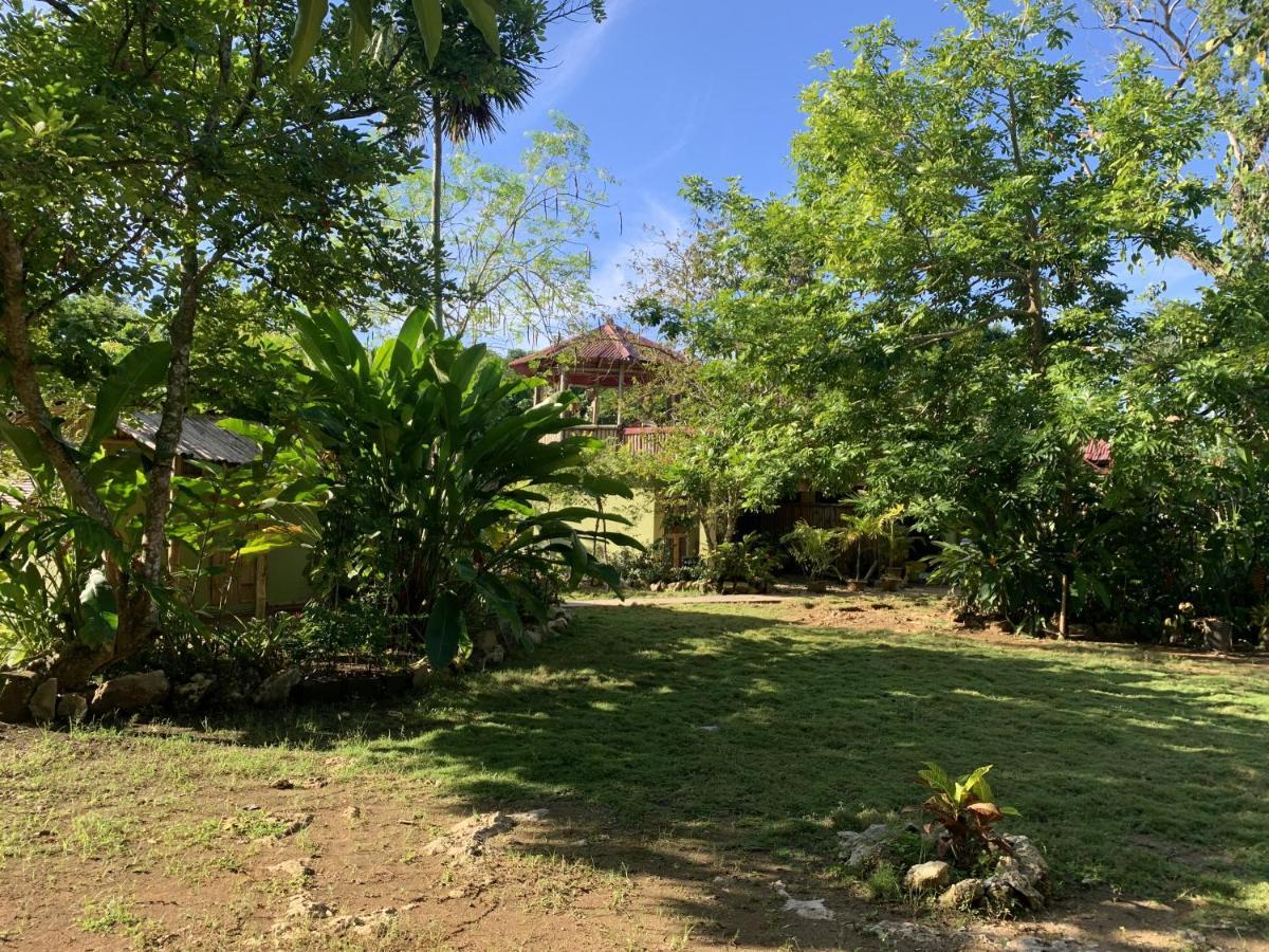 Can Jam Retreat Negril Luaran gambar
