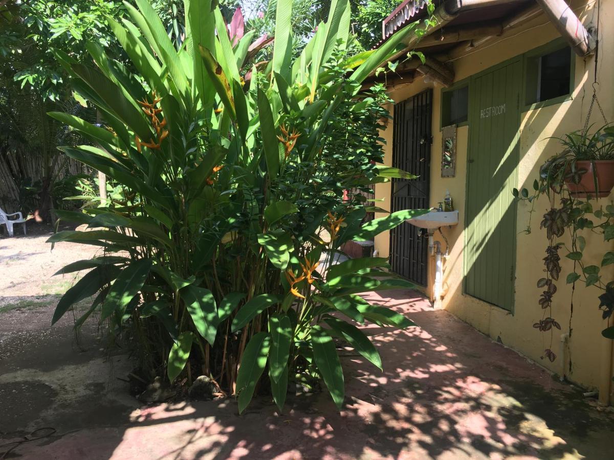 Can Jam Retreat Negril Luaran gambar