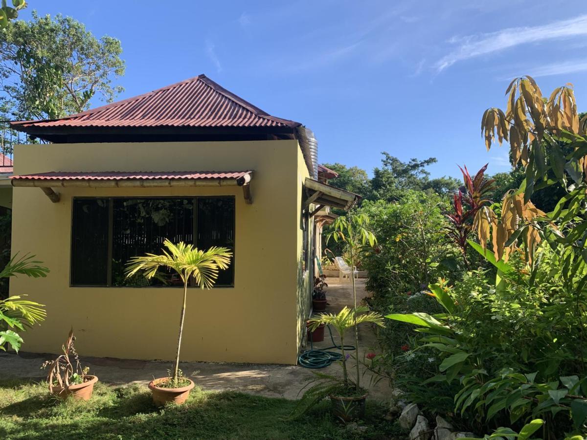 Can Jam Retreat Negril Luaran gambar