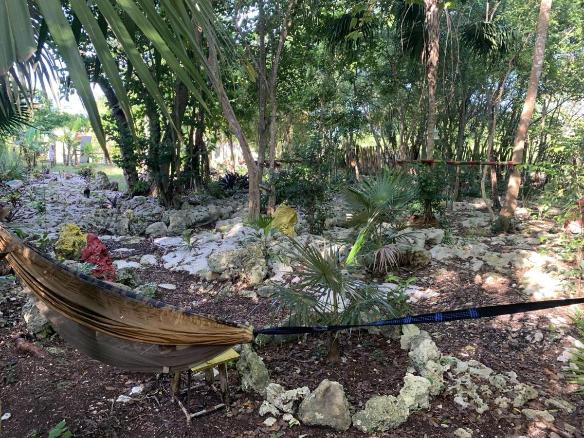 Can Jam Retreat Negril Luaran gambar